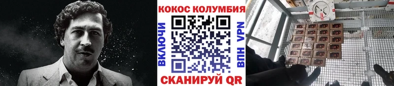 Купить где  Починок  COCAIN Перу 