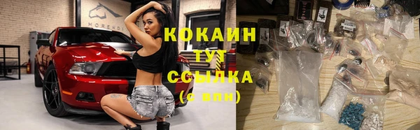 винт Горняк