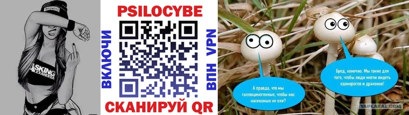 Купить закладки  Починок  Псилоцибиновые грибы прущие грибы 